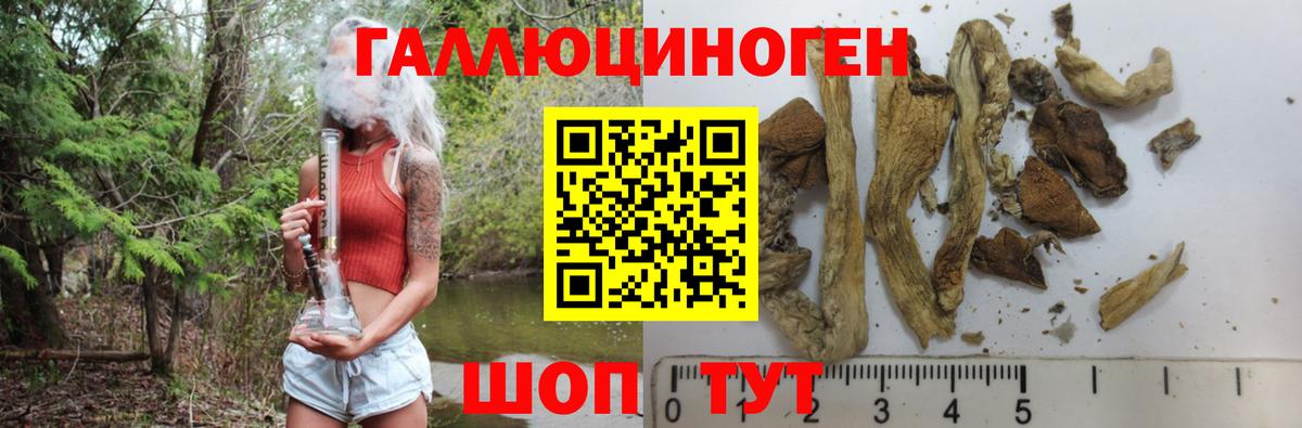 Белово  Псилоцибиновые грибы Psilocybe  цены наркотик  Вход с VPN 