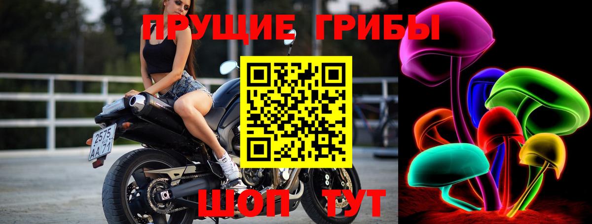 Псилоцибиновые грибы GOLDEN TEACHER Белово